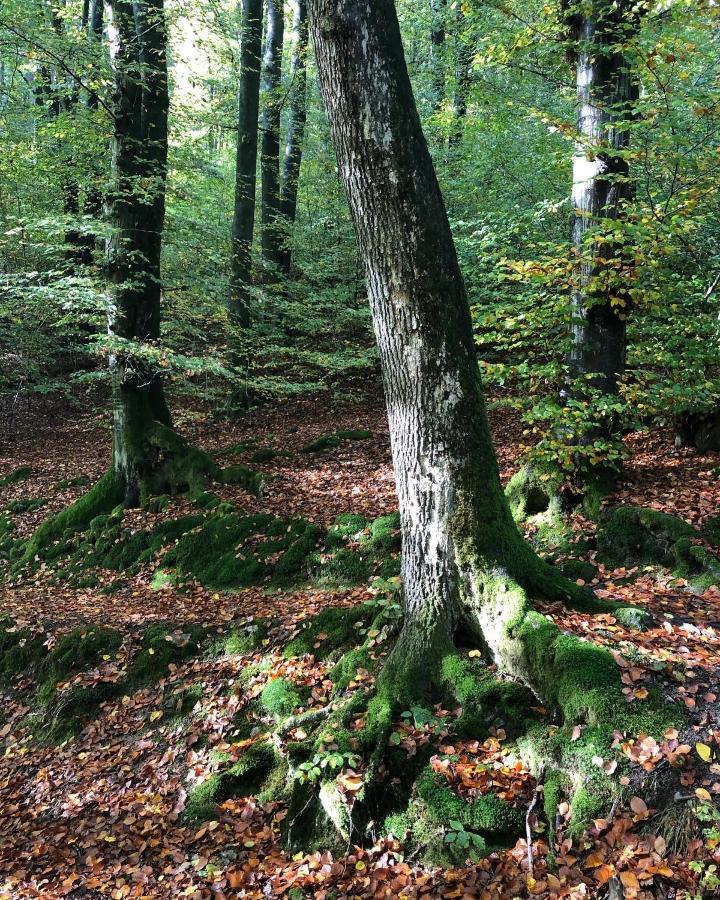 Gartenblick Leichlingen Exterior foto