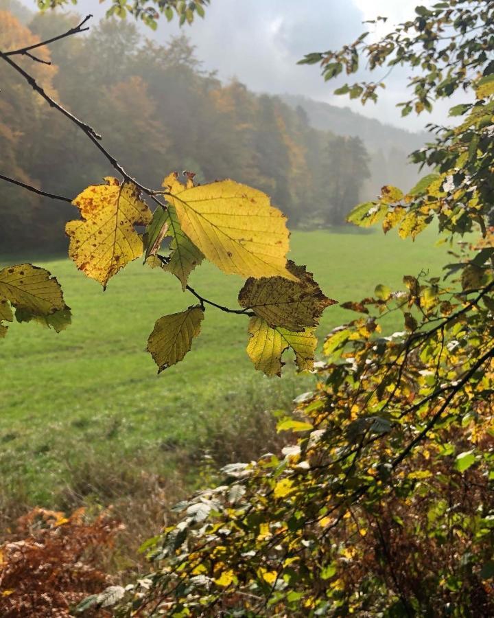 Gartenblick Leichlingen Exterior foto